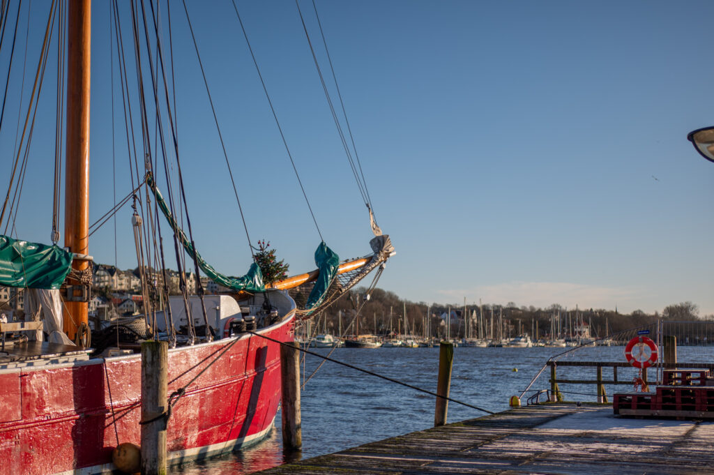 Segelschiff mit Tannenbaum