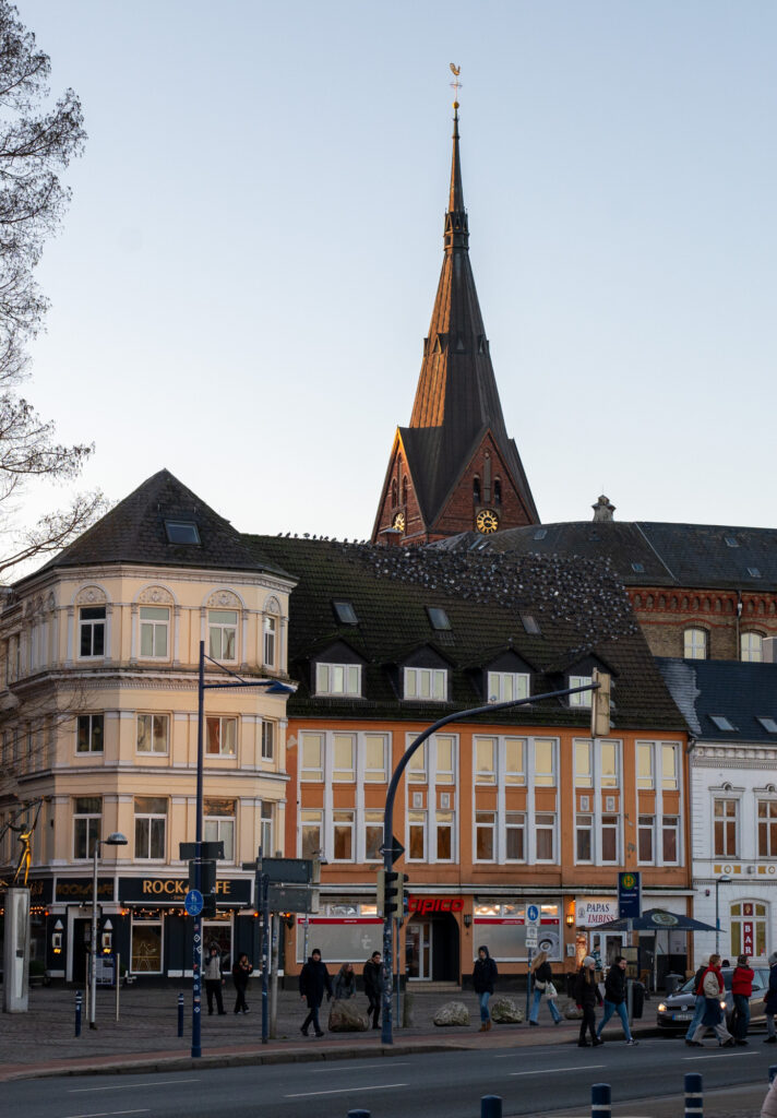 das komische graue sind alles Tauben auf dem Haus